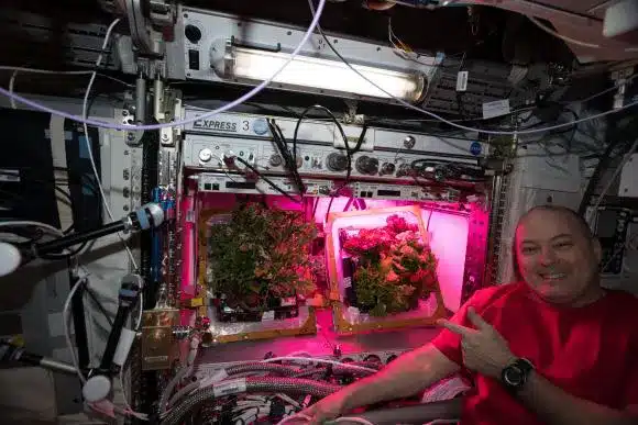 گیاه در ایستگاه فضایی بین المللی