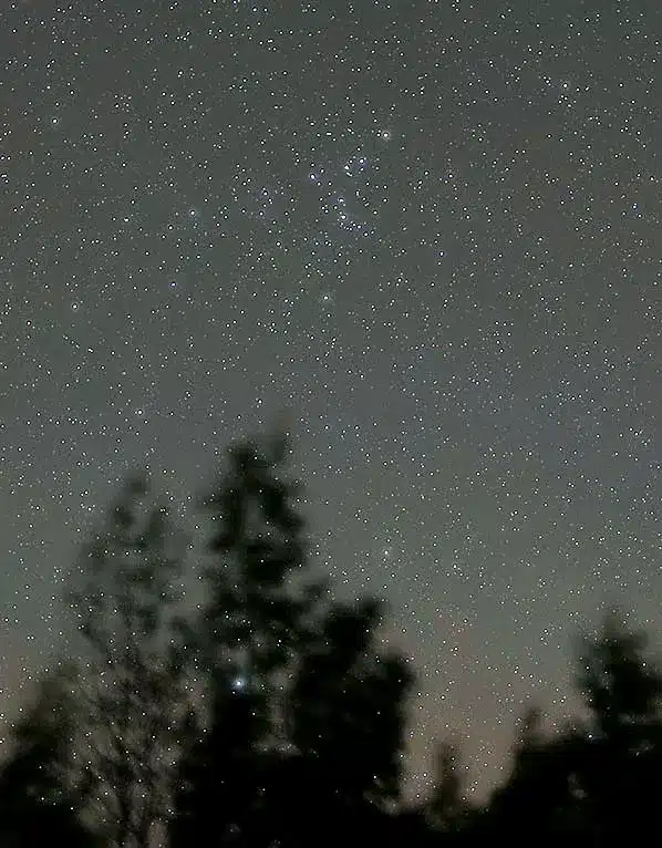 خوشه گیسوان برنیکه چشم غیر مسلح