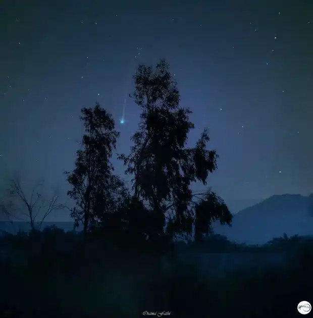 دنباله‌دار نیشیمورا بر فراز صحرای سیاه، مصر
