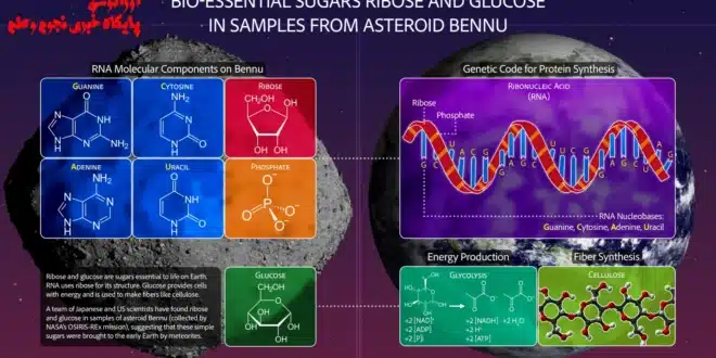 کشف شکرها، «آدامس»، و غبار ستاره‌ای در نمونه‌های سیارک بنو ناسا